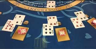 d556 Live Casino