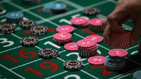 d556 Live Casino Mein Real Dealers